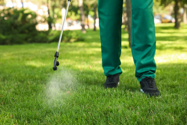 Best Local Pest Control Services  in Richnd, MO
