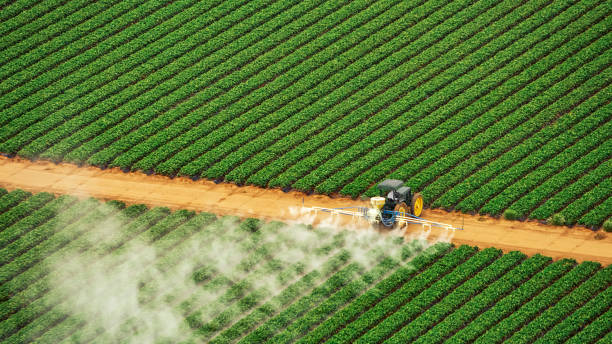 Best Mosquito Control Services  in Richnd, MO