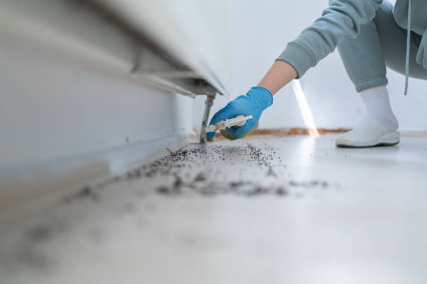 Professional Pest Control in Richmond, MO